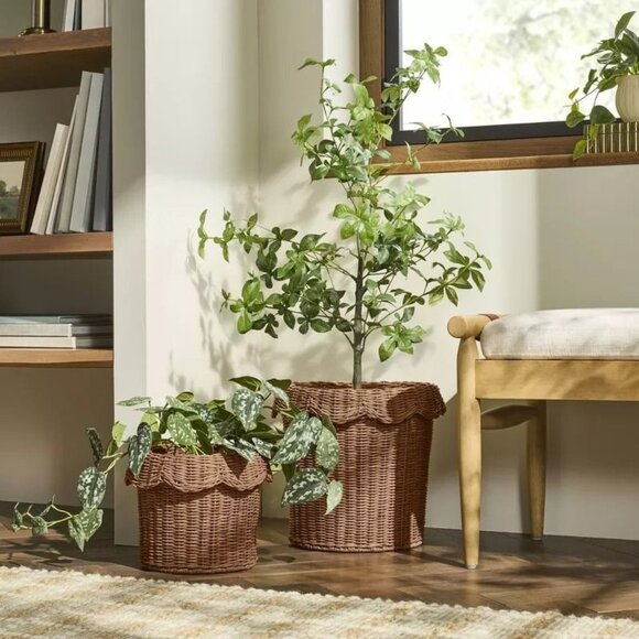 12" Rattan Scalloped Planter Basket - Hearth & Hand Magnolia - Boho Plant Decor - Picture 2 of 8